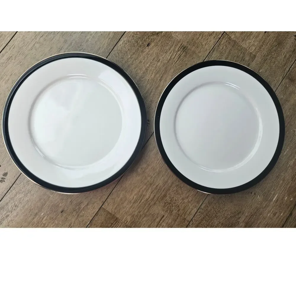 2 Dinner Plates 10.75
